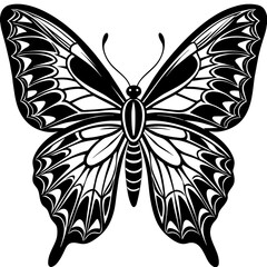     Butterfly vector illustration.
