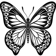     Butterfly vector illustration.
