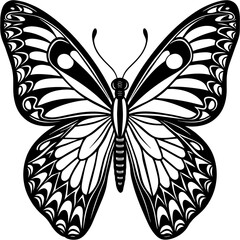     Butterfly vector illustration.
