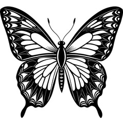     Butterfly vector illustration.

