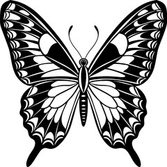     Butterfly vector illustration.
