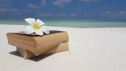 Fototapeta na wymiar White flower on books on a tropical beach in Maldives