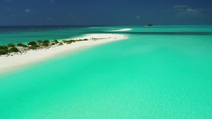 Foto op Aluminium Aerial view of a tropical island in Maldives © Wirestock