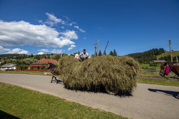 Hay harvest with a horse drawn cart in romania