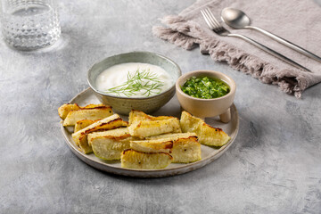 Oven baked zucchini wedges served with green pesto and greek yogurt on gray background. Vegetarian food concept.