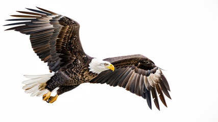 Obraz premium The image captures the effortless flight of a bald eagle, wings extended and eyes focused, embodying precision and beauty