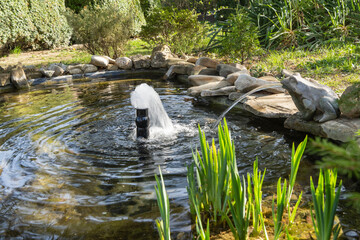 There are two fountains in beautiful small garden pond. One fountain is made in shape of frog. Banks of pond have stone banks. Blurred background. Selective focus. Nature concept for design