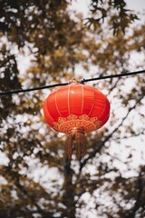 Vertical shot of a red Chinese lamp hanging on a rope outdoors on a blurred background