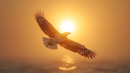 A majestic bald eagle flying toward the rising sun, with the American flag unfurled in the background, bathed in the early morning light.