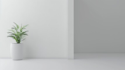 Mockup of a blank wall, modern minimalist interior, white pot with green plant