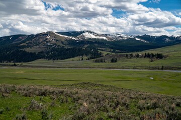 Fototapeta premium Low-angle view of a beautiful forest near the mountains