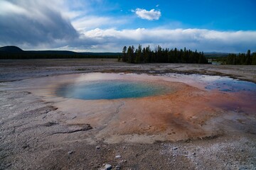 Closeup shot of a geyser filled with hot water near the forest