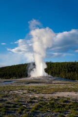 Fototapeta premium Vertical shot of a geyser filled with hot water near the forest