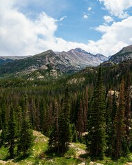 Vertical shot of a mountainous landscape with lush green trees in the foreground in daylight