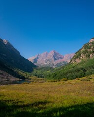 Vertical shot of rocky mountains in a forest in summer on a bright sunny day