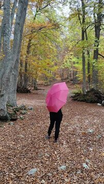 Vertical shot of a female with a pink umbrella standing under fallen leaves in a forest