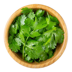 Green cilantro leaves in wooden bowl isolated on white background. Coriander leaves. Top view.