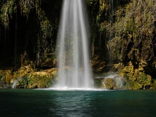 Beautiful Waterfall Forest 3