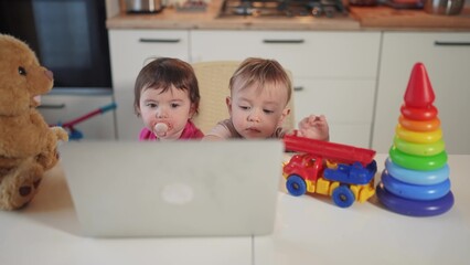 Fototapeta premium twin baby children a playing laptop watching video in the kitchen. happy family kid dream concept. baby twins lifestyle playing video game on laptop looking at screen in kitchen