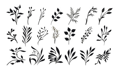 This elegant collection of hand-drawn botanical elements includes various types of leaves, flowers and plants in detailed © Pickoloh
