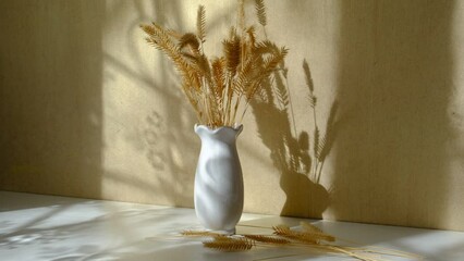 Vase with dried flowers and shadow of the dragonfly on background casting shadows . Minimal modern interior decoration concept. Autumn wabi sabi style aesthetics