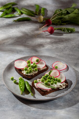 Open sandwich with cream cheese, green pea , radish and arugula on gray background. Vegetarian sandwich on rye bread with vegetables.