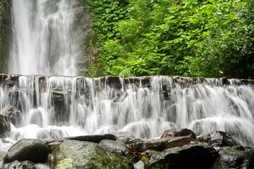 Fototapeta premium waterfall in the forest
