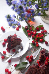 Chocolate cake with sweet cherry, cup of tea and bouquet of blue flowers on white background..