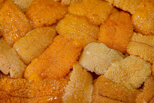 Creamy Japanese Uni: A Delicate Treat