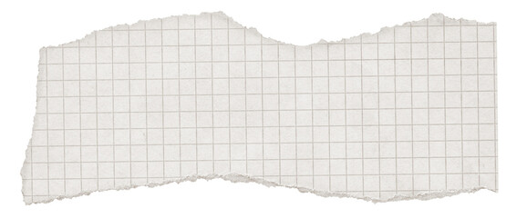 Vintage Torn Graph Paper Texture. Decorative White Ripped paper for planner, notebook, journal