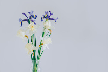 Bouquet of tender Daffodil (narcissus) and Iris flowers in a vase on a white table .