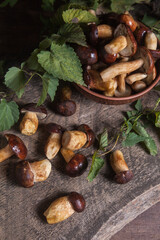 Pile of Imleria Badia or Boletus badius mushrooms commonly known as the bay bolete on vintage wooden background..