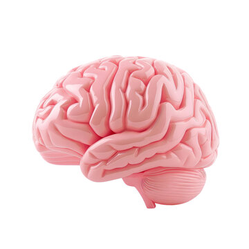pink brain isolated on transparent background Generative Ai.
