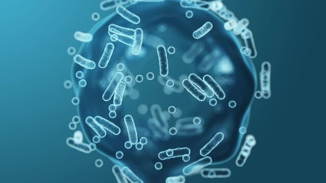 Enterobacteriaceae, gram-negative rod-shaped bacteria, part of intestinal microbiome and causative agents of different infections, 3D rendering. Escherichia coli, Klebsiella, Enterobacter and other