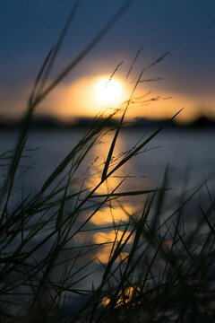 sunset, sky, nature, water, grass, lake, landscape, sunrise, sun, dawn, morning, fog, summer, river, field, red, beach, evening, sea, tree, dusk, light, orange, clouds, calm,background, beautiful, bea