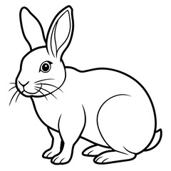 rabbit background vector illustration