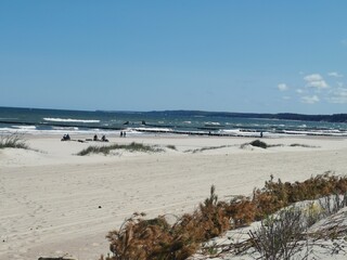beach in the morning