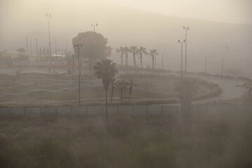 Foggy sunrise in the morning on the Mediterranean Sea, sea view, beach and park with palm trees. Vacations and relaxation by the sea. - obrazy, fototapety, plakaty
