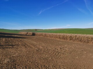 landscape with a plowed field and blue sky