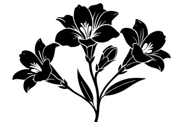 Freesia vector silhouette 