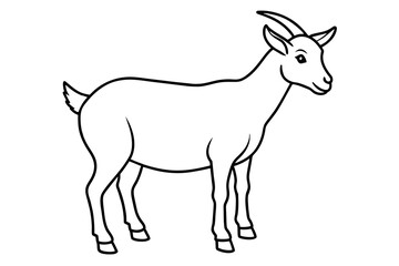goat line art vector illustration 