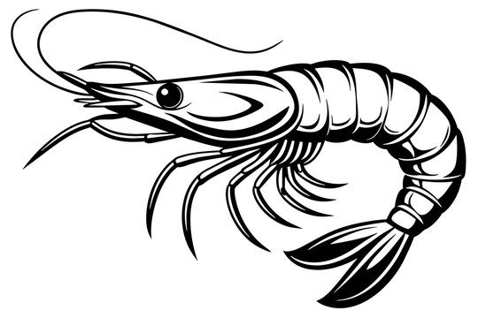 recommend clip art: shrimp vector silhouette 