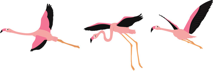 Obraz premium pink flamingos flying set on white background vector