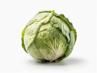 Fototapeta premium cabbage isolated on white background