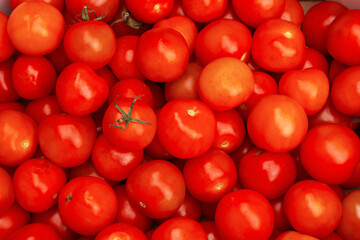 red tomatoes close up, food natural background. harvest and market.