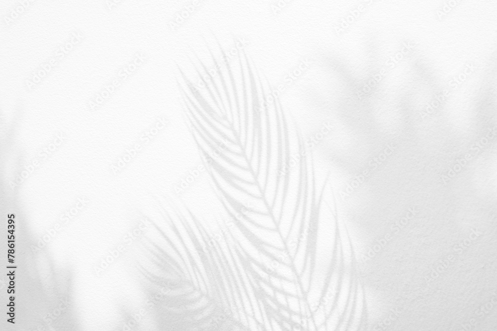 Aufkleber Grey shadow of natural palm leaf and tree abstract background falling on white wall texture for background and wallpaper. Tropical palm leaves foliage shadow overlay effect, foliage mockup and design