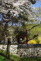 Fototapeta premium Uam Historical Park