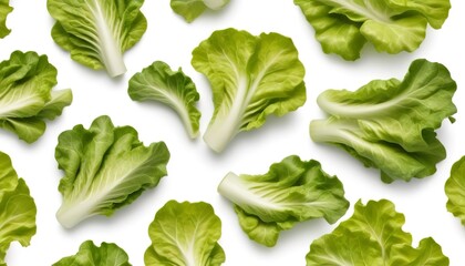 fresh lettuce leaves pattern isolated on white background