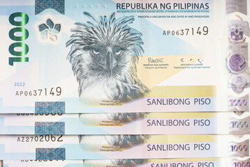 the new one thousand polymer bill of the Philippines