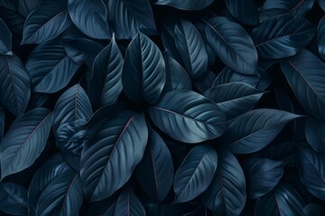 tropical leaf background with dark nature concept abstract black leaves textures for digital art flat lay - obrazy, fototapety, plakaty